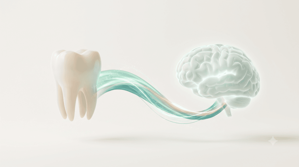 3D medical illustration of a healthy molar connected to a glowing brain by a ribbon of light, representing the link between chewing function and brain health.