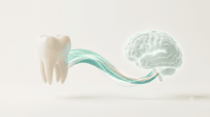 3D medical illustration of a healthy molar connected to a glowing brain by a ribbon of light, representing the link between chewing function and brain health.